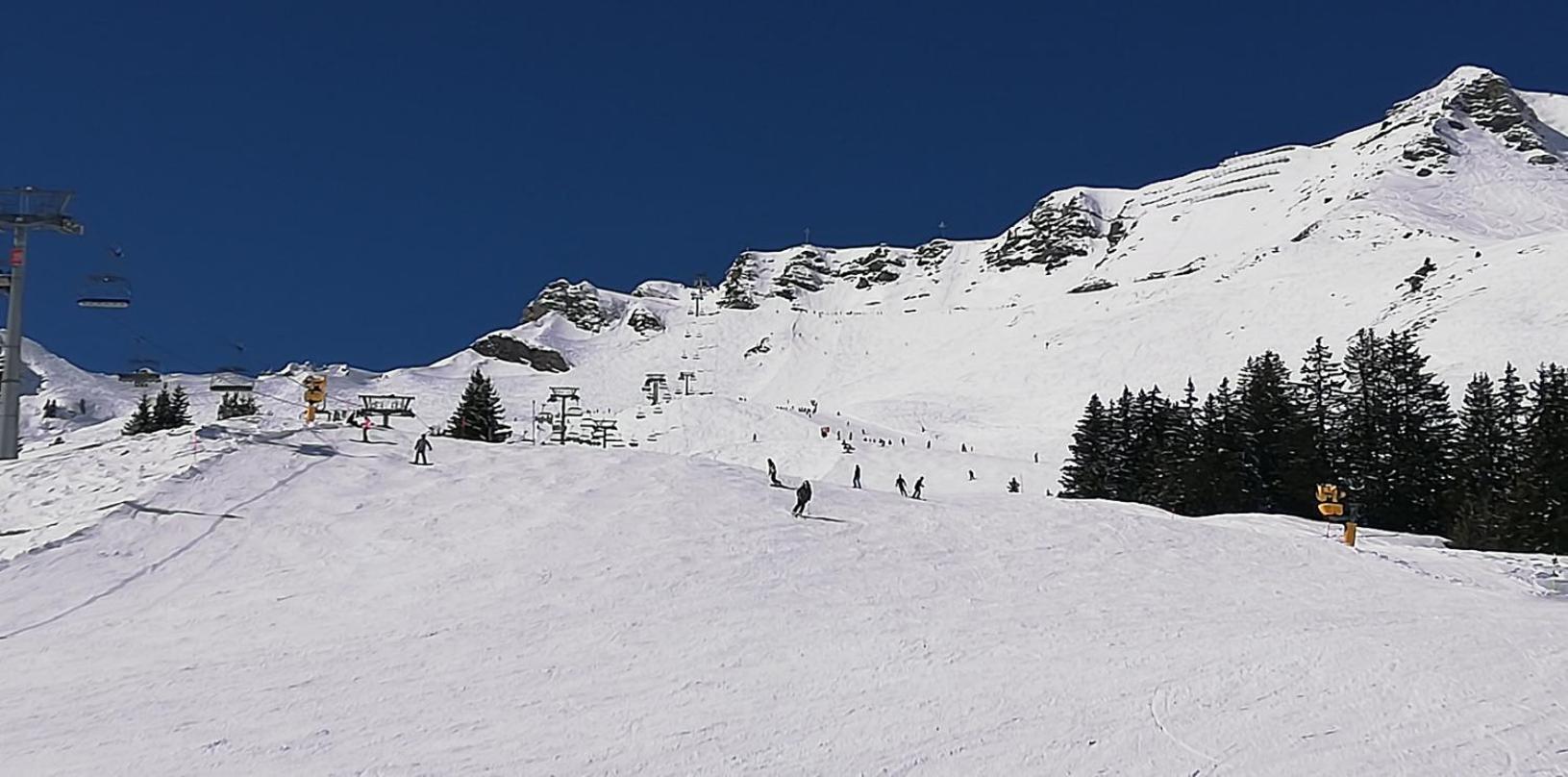 Champéry Bonavau Studio3 מראה חיצוני תמונה